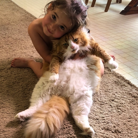 Meet your Posher - Picture 3 of 12